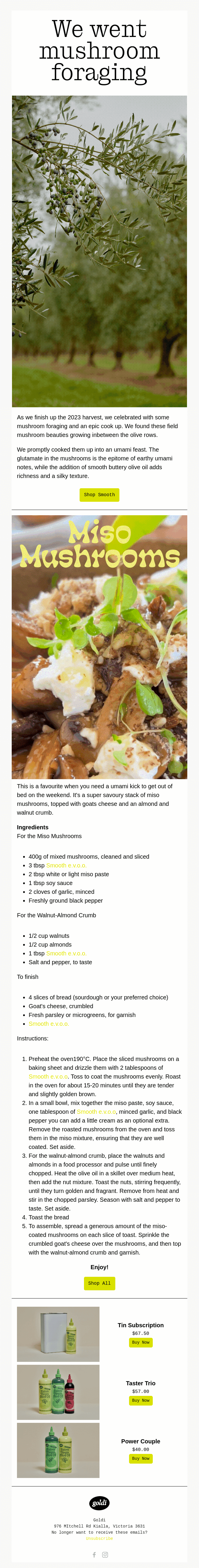 Newsletter Email Design