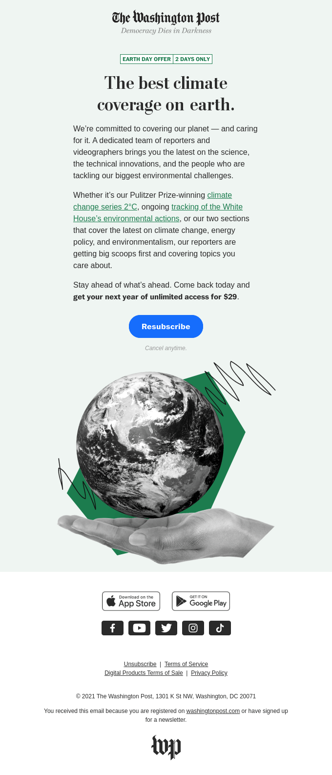 Holiday Email Design