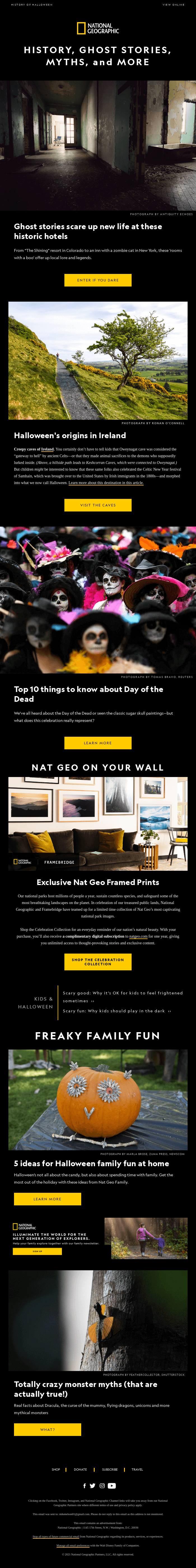 Halloween Email Design