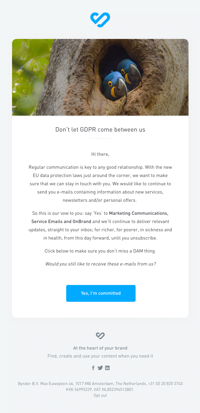 Terms of Service Email Design