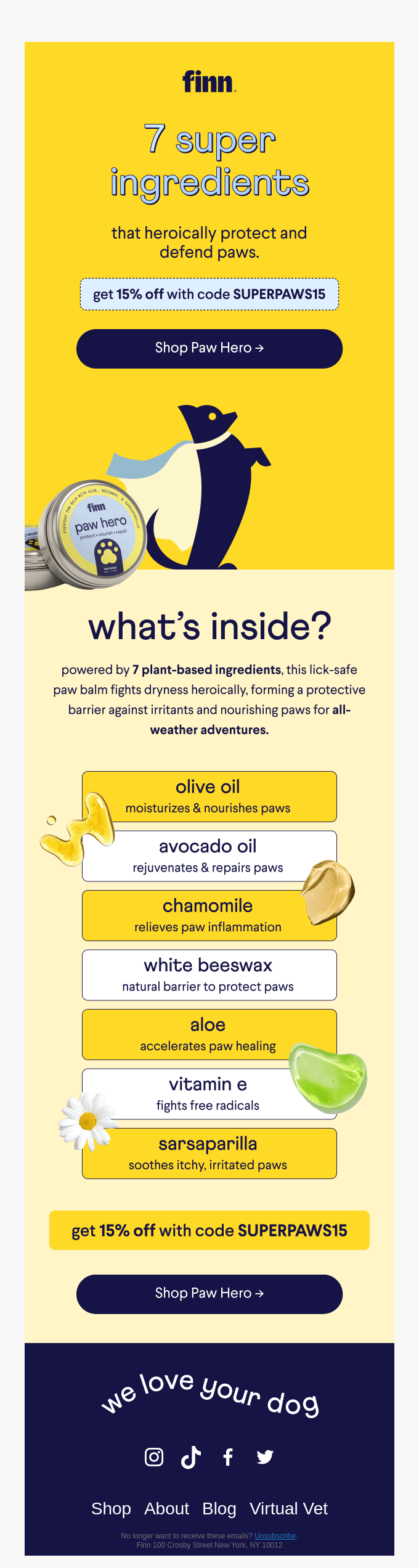 Animals & Pet Supplies Email Design