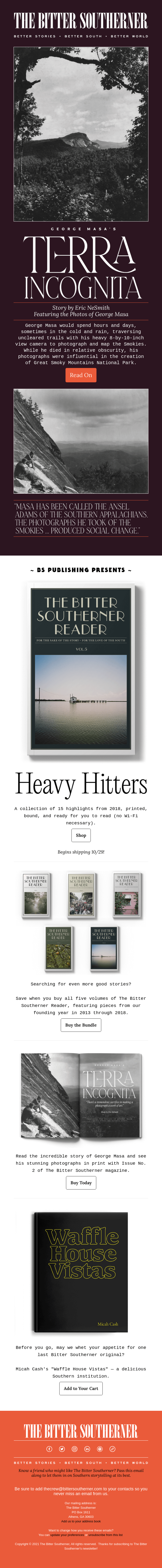 Newsletter Email Design