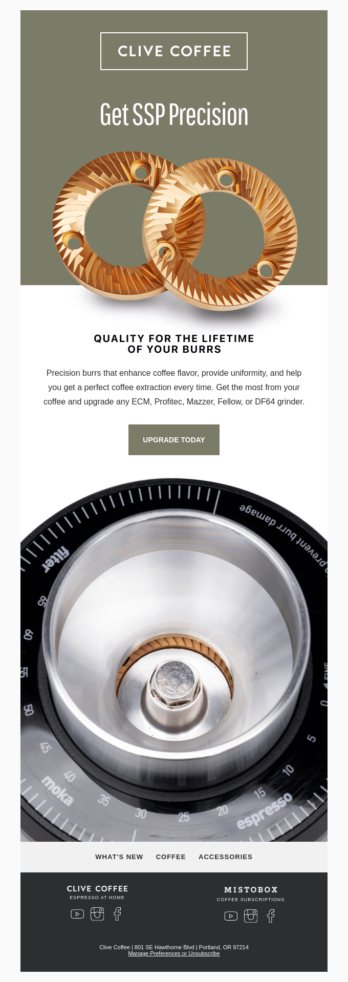 Newsletter Email Design