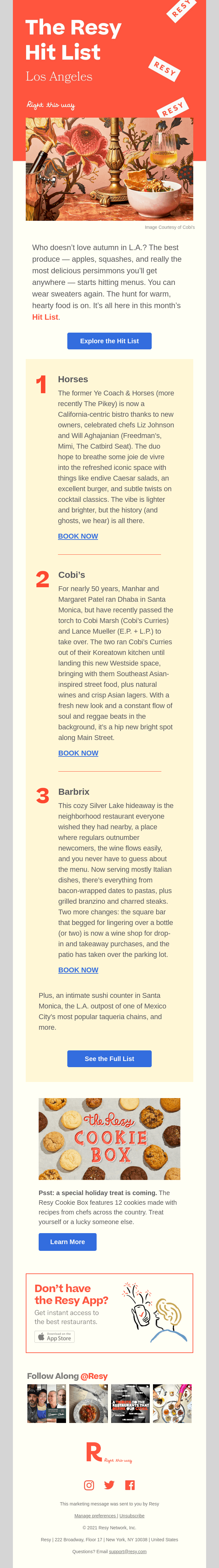 Newsletter Email Design
