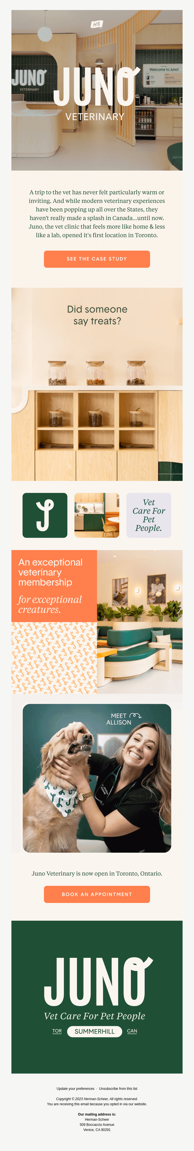 Animals & Pet Supplies Email Design