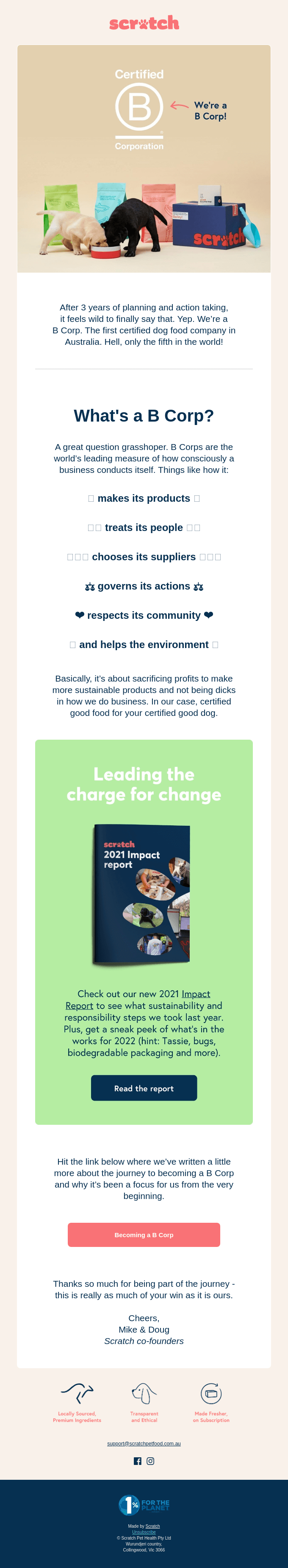 Animals & Pet Supplies Email Design