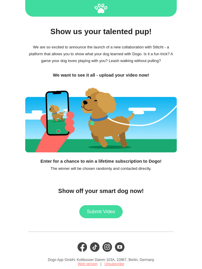 Animals & Pet Supplies Email Design